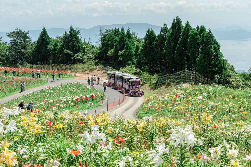 立てば芍薬、座れば牡丹、歩く姿は百合の花